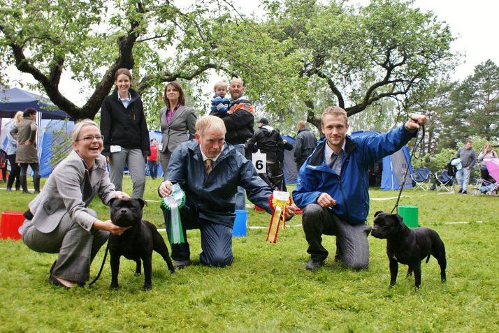 Rino best dog Terrier spesial 2011