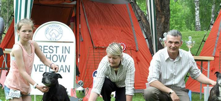 Amy - Proudstaff`s Disguise The Navigator BIS Vet. Norw. Spes. Show 2014