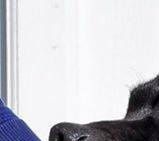 Dam: Boydslass Ziva Da Vid